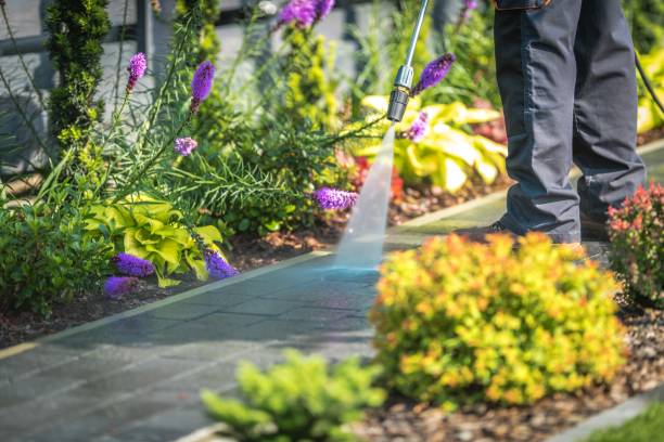 Best Patio and Deck Pressure Washing  in Las Lomas, CA