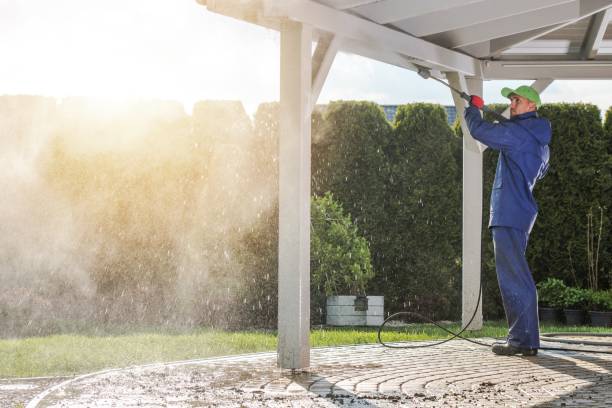 Best Dumpster Area Cleaning  in Las Lomas, CA